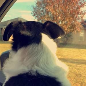 Meet your Posher, Sydnee